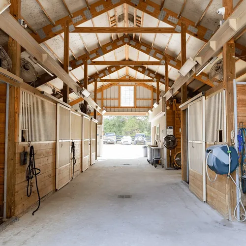 Lone Star Equine Sports Medicine Clinic