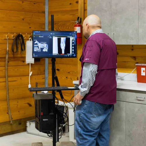 Dr. Alvarez reviewing diagnostic imaging