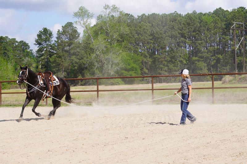 Our Clients photo