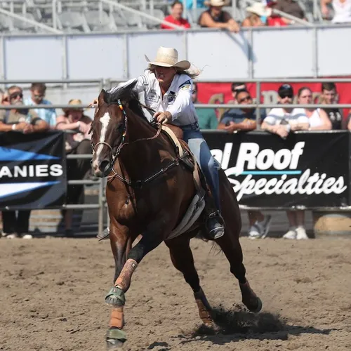 SLEIP gait analysis on a performance horse